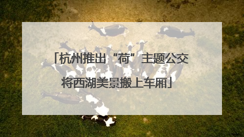 杭州推出“荷”主题公交 将西湖美景搬上车厢