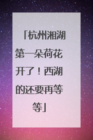 杭州湘湖第一朵荷花开了！西湖的还要再等等