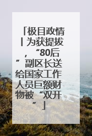 极目政情丨为获提拔，“80后”副区长送给国家工作人员巨额财物被“双开”