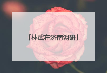 林武在济南调研