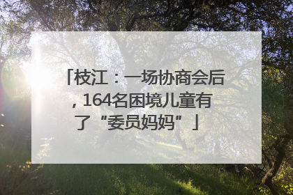 枝江：一场协商会后，164名困境儿童有了“委员妈妈”