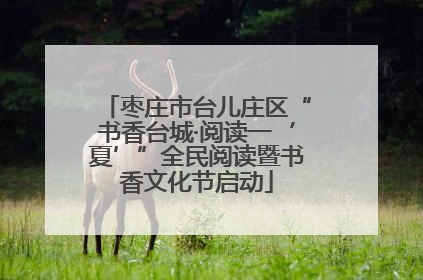 枣庄市台儿庄区“书香台城·阅读一‘夏’”全民阅读暨书香文化节启动