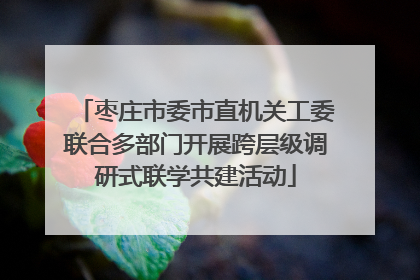 枣庄市委市直机关工委联合多部门开展跨层级调研式联学共建活动