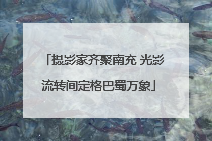 摄影家齐聚南充 光影流转间定格巴蜀万象