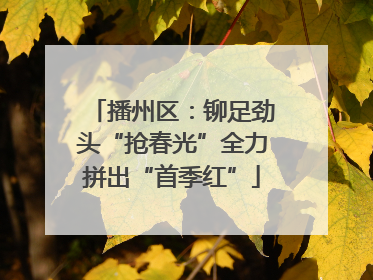 播州区：铆足劲头“抢春光”全力拼出“首季红”