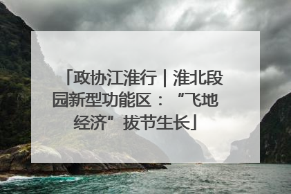 政协江淮行｜淮北段园新型功能区：“飞地经济”拔节生长