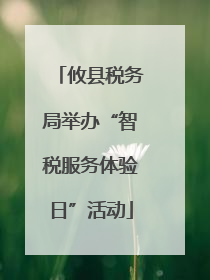 攸县税务局举办“智税服务体验日”活动