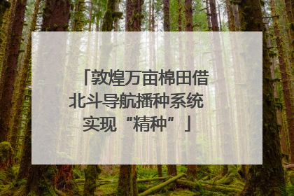 敦煌万亩棉田借北斗导航播种系统实现“精种”