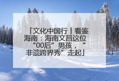 文化中国行丨看鉴海南：海南文昌这位“00后”男孩，“非遗跨界秀”走起