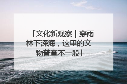 文化新观察｜穿雨林下深海，这里的文物普查不一般