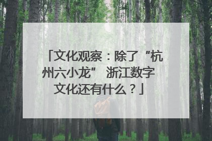文化观察：除了“杭州六小龙” 浙江数字文化还有什么？