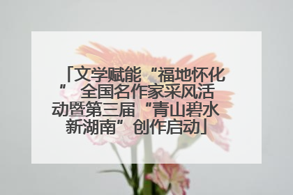 文学赋能“福地怀化” 全国名作家采风活动暨第三届“青山碧水新湖南”创作启动