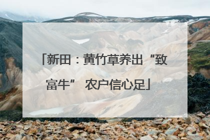 新田：黄竹草养出“致富牛” 农户信心足