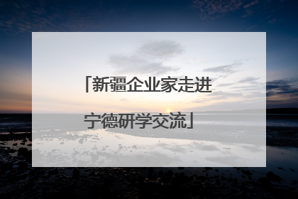 新疆企业家走进宁德研学交流