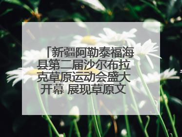 新疆阿勒泰福海县第二届沙尔布拉克草原运动会盛大开幕 展现草原文化魅力