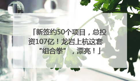 新签约50个项目，总投资107亿！龙岩上杭这套“组合拳”，漂亮！