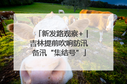 新发路观察+｜吉林提前吹响防汛备汛“集结号”