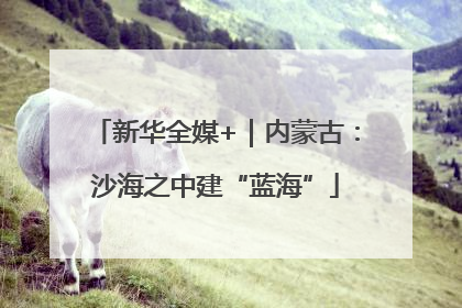 新华全媒+｜内蒙古：沙海之中建“蓝海”