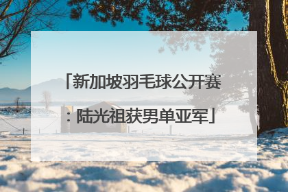 新加坡羽毛球公开赛：陆光祖获男单亚军