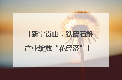 新宁崀山：铁皮石斛产业绽放“花经济”