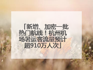 新增、加密一批热门航线！杭州机场暑运客流量预计超910万人次