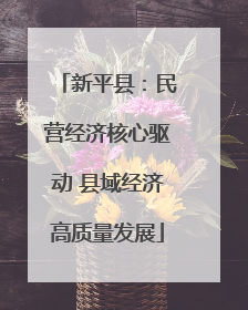 新平县：民营经济核心驱动 县域经济高质量发展