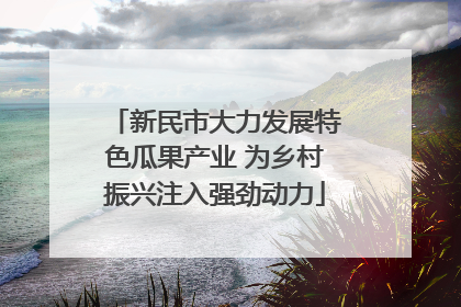 新民市大力发展特色瓜果产业 为乡村振兴注入强劲动力