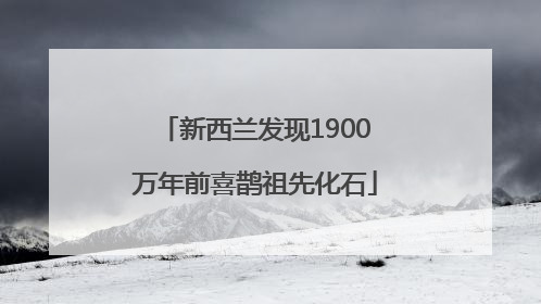 新西兰发现1900万年前喜鹊祖先化石
