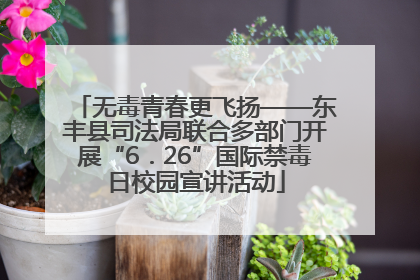 无毒青春更飞扬——东丰县司法局联合多部门开展“6．26”国际禁毒日校园宣讲活动