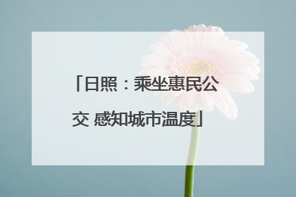 日照：乘坐惠民公交 感知城市温度