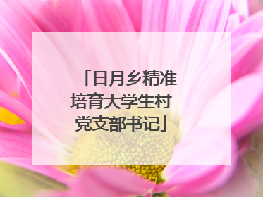 日月乡精准培育大学生村党支部书记
