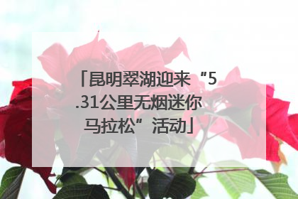 昆明翠湖迎来“5.31公里无烟迷你马拉松”活动