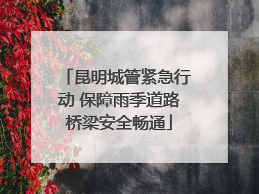 昆明城管紧急行动 保障雨季道路桥梁安全畅通