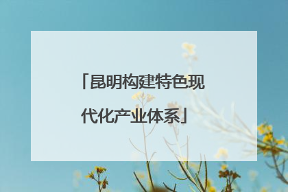 昆明构建特色现代化产业体系
