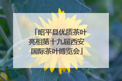 昭平县优质茶叶亮相第十九届西安国际茶叶博览会