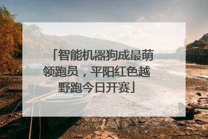 智能机器狗成最萌领跑员，平阳红色越野跑今日开赛