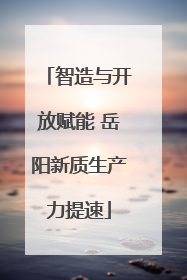 智造与开放赋能 岳阳新质生产力提速