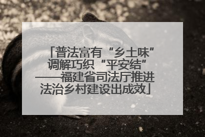 普法富有“乡土味” 调解巧织“平安结”——福建省司法厅推进法治乡村建设出成效