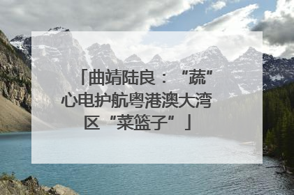 曲靖陆良：“蔬”心电护航粤港澳大湾区“菜篮子”