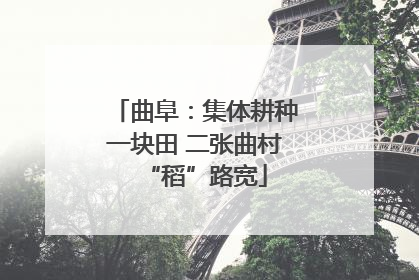 曲阜：集体耕种一块田 二张曲村“稻”路宽