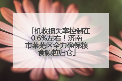 机收损失率控制在0.6%左右！济南市莱芜区全力确保粮食颗粒归仓