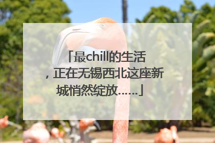 最chill的生活，正在无锡西北这座新城悄然绽放……