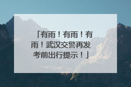 有雨！有雨！有雨！武汉交警再发考前出行提示！