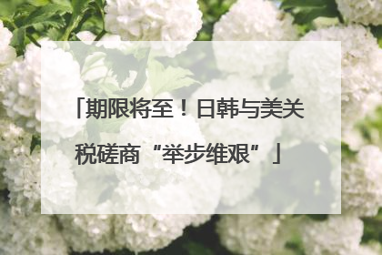 期限将至！日韩与美关税磋商“举步维艰”