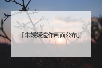 朱媛媛遗作画面公布