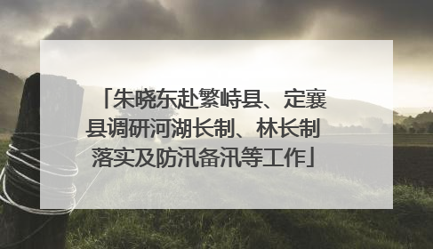 朱晓东赴繁峙县、定襄县调研河湖长制、林长制落实及防汛备汛等工作