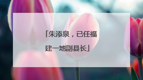 朱添泉，已任福建一地副县长