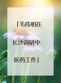 毛伟明在长沙调研中医药工作