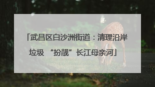武昌区白沙洲街道：清理沿岸垃圾 “扮靓”长江母亲河