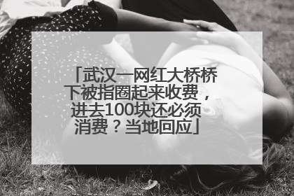 武汉一网红大桥桥下被指圈起来收费，进去100块还必须消费？当地回应